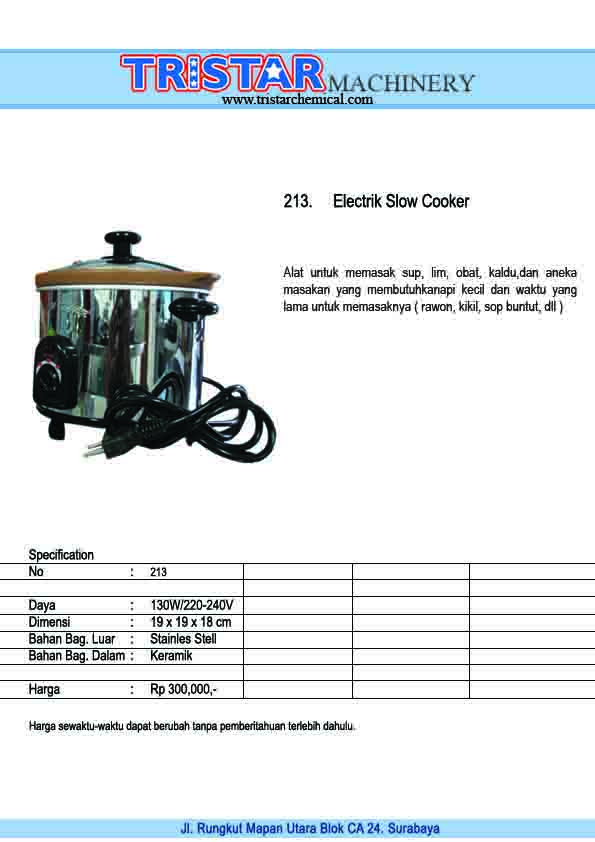 213. Electric Slow Cooker